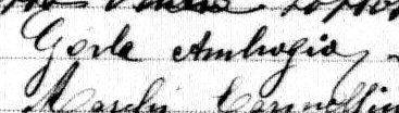 Signature de Gorla Ambrogio: 14 novembre 1908 Signature de Gorla Ambrogio: 14 novembre 1908