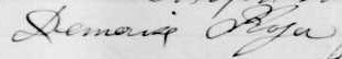 Signature de Demerise Royer: 16 février 1885 Signature de Demerise Royer: 16 février 1885
