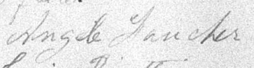 Signature d'Angèle Faucher: 7 janvier 1895 Signature d'Angèle Faucher: 7 janvier 1895