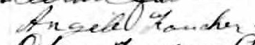 Signature d'Angèle Faucher: 13 février 1899 Signature d'Angèle Faucher: 13 février 1899