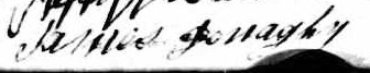 Signature de James Donaghy: 29 décembre 1846 Signature de James Donaghy: 29 décembre 1846