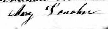 Signature de Mary Donohoe: 10 novembre 1873