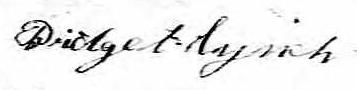 Signature de Bridget Lynch: 28 octobre 1868 Signature de Bridget Lynch: 28 octobre 1868