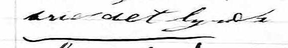 Signature de Bridget Lynch: 7 juin 1870 Signature de Bridget Lynch: 7 juin 1870