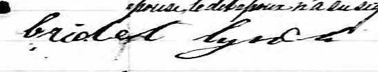 Signature de Bridet Lynch: 25 octobre 1870 Signature de Bridet Lynch: 25 octobre 1870