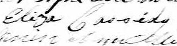 Signature d'Eliza Cassidy: 29 février 1848 Signature d'Eliza Cassidy: 29 février 1848