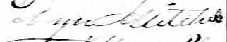 Signature d'Ann Mitchel: 29 février 1848 Signature d'Ann Mitchel: 29 février 1848