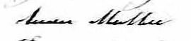 Signature de Anne Mullen: 7 février 1876 Signature de Anne Mullen: 7 février 1876