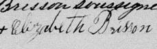 Signature de Élizabeth Brisson: 28 juillet 1880 Signature de Élizabeth Brisson: 28 juillet 1880