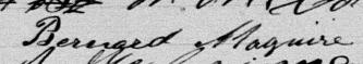 Signature de Bernard Maguire: 16 janvier 1880 Signature de Bernard Maguire: 16 janvier 1880