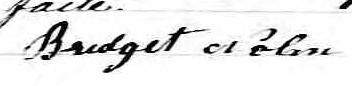 Signature de Bridget Nolan: 18 mars 1870 Signature de Bridget Nolan: 18 mars 1870