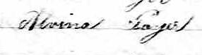Signature d'Alvina Payer: 4 août 1873 Signature d'Alvina Payer: 4 août 1873