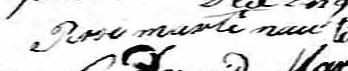 Signature de Rose Martinau: 13 juillet 1806 Signature de Rose Martinau: 13 juillet 1806