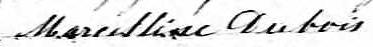 Signature de Marcelline Dubois: 8 novembre 1850 Signature de Marcelline Dubois: 8 novembre 1850
