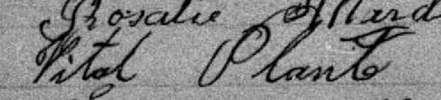 Signature de Vital Plante: 24 octobre 1882 Signature de Vital Plante: 24 octobre 1882