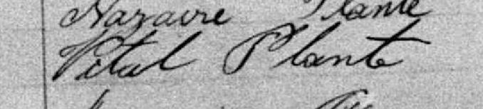 Signature de Vital Plante: 20 janvier 1885 Signature de Vital Plante: 20 janvier 1885