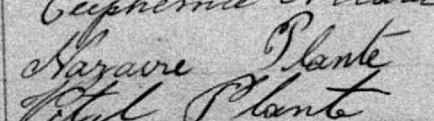 Signature de Nazaire Plante: 20 janvier 1885 Signature de Nazaire Plante: 20 janvier 1885