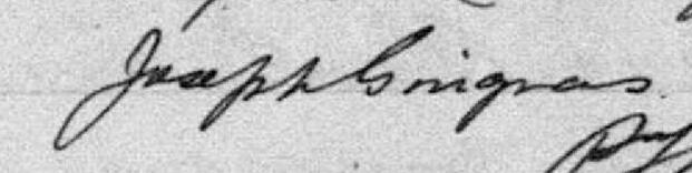Signature de Joseph Gingras: 20 mars 1900 Signature de Joseph Gingras: 20 mars 1900