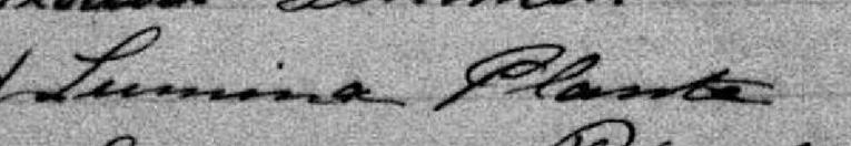 Signature de Lumina Plante: 24 octobre 1882 Signature de Lumina Plante: 24 octobre 1882