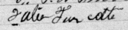 Signature de Julie Turcotte: 21 juin 1881 Signature de Julie Turcotte: 21 juin 1881
