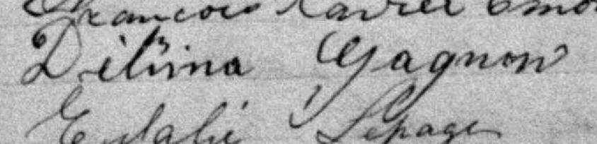 Signature de Délima Gagnon: 14 février 1882 Signature de Délima Gagnon: 14 février 1882