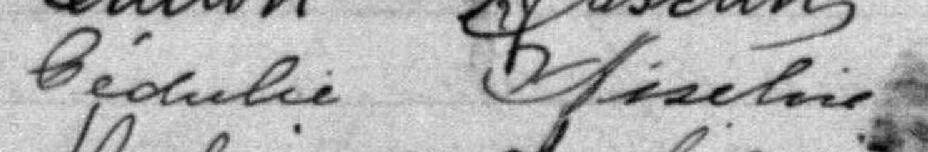 Signature de Cédulie Asselin: 5 novembre 1900 Signature de Cédulie Asselin: 5 novembre 1900