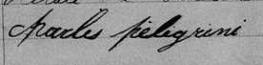 Signature de Charles Péligrini: 15 octobre 1858 Signature de Charles Péligrini: 15 octobre 1858