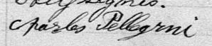 Signature de Charles Pellegrni: 20 novembre 1880 Signature de Charles Pellegrni: 20 novembre 1880