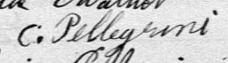 Signature de C. Pellegrini: 13 mars 1885 Signature de C. Pellegrini: 13 mars 1885