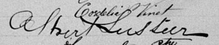 Signature de Albert Lussier: 19 février 1891 Signature de Albert Lussier: 19 février 1891