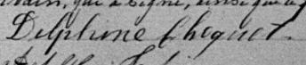 Signature de Delphine Choquet: 11 novembre 1895 Signature de Delphine Choquet: 11 novembre 1895