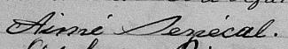 Signature de Aimé Senécal: 3 janvier 1874 Signature de Aimé Senécal: 3 janvier 1874