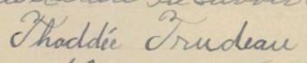 Signature de Thaddée Trudeau: 26 octobre 1901 Signature de Thaddée Trudeau: 26 octobre 1901